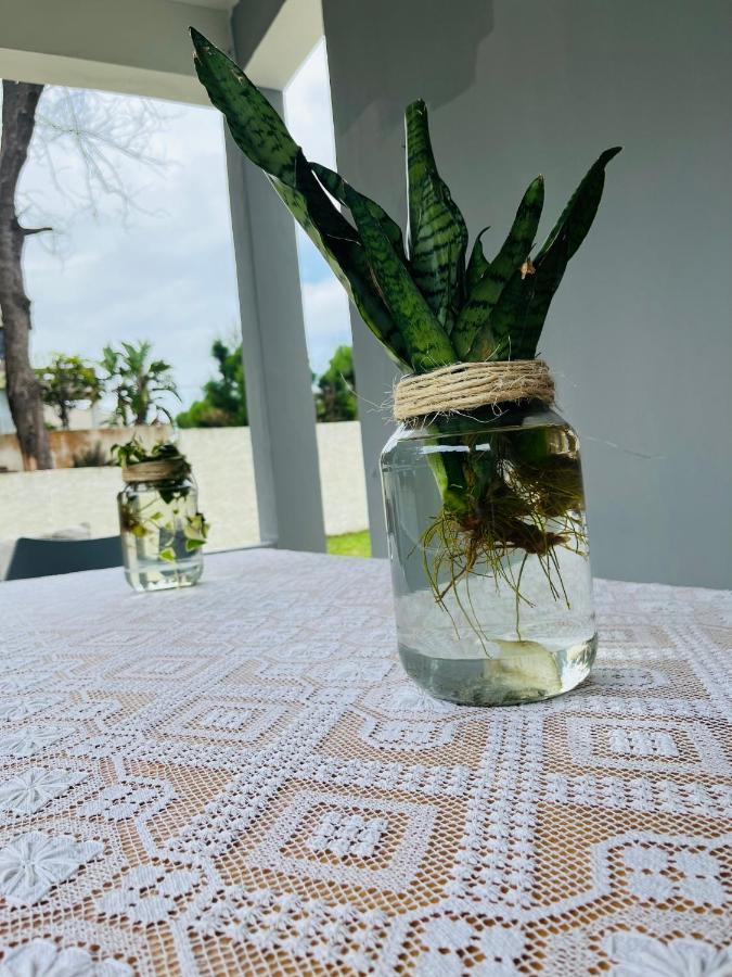 폰타 도 오우로 Casa Cinza 빌라 외부 사진